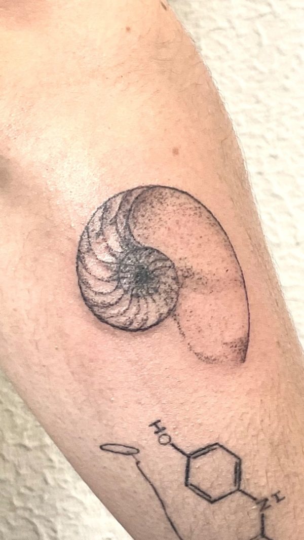 tattoo shell